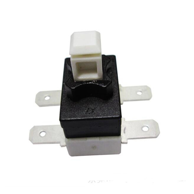 DPST Push Button Switch